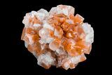 Aragonite Twinned Crystal Cluster - Morocco #153795-1